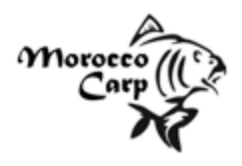 Morocco Carp